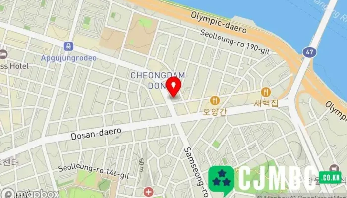 레지나 - 청담동 118-17번지 2층 204호 포엠 강남구 서울특별시