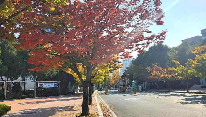 부산교육대학교 - 부산광역시