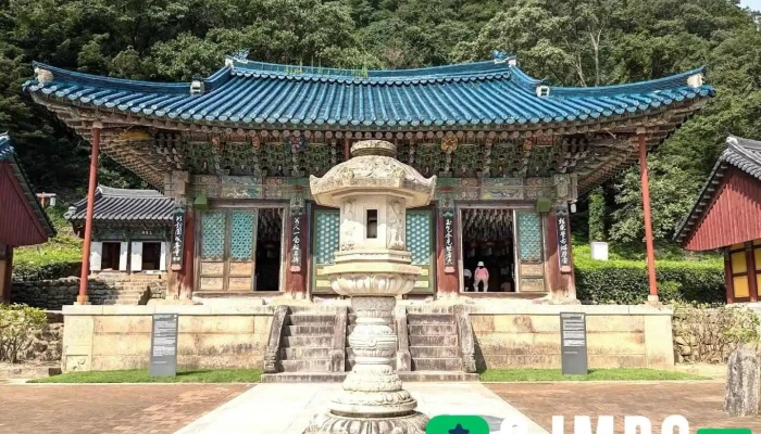 설악산 신흥사 - 속초시