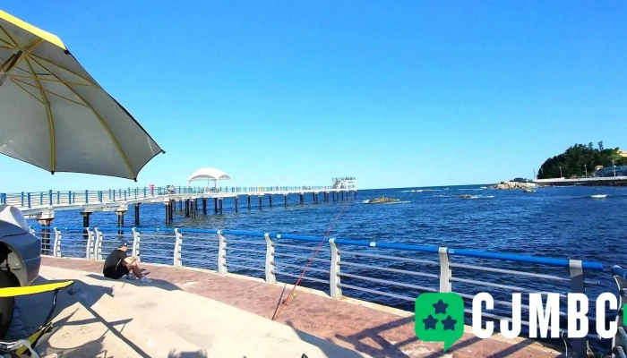 신선마트 - 강원특별자치도 고성군 현내면 대진리 96-5