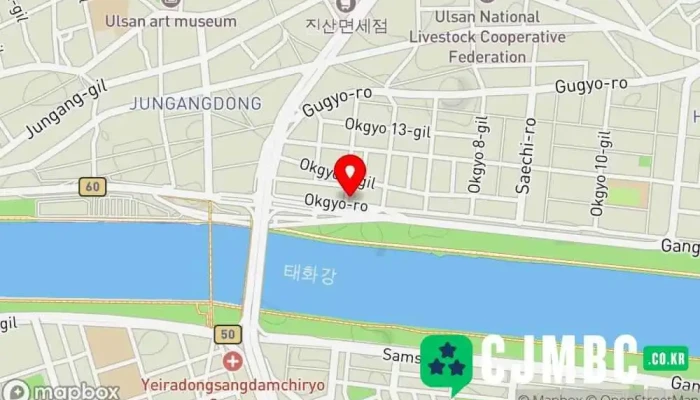 오디오웹 - 옥교동 320-25번지 옥교동 1층 중구 울산광역시