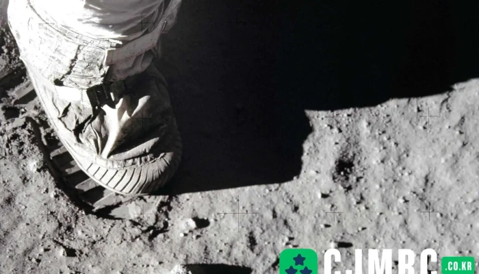 오브라운 - 서울특별시