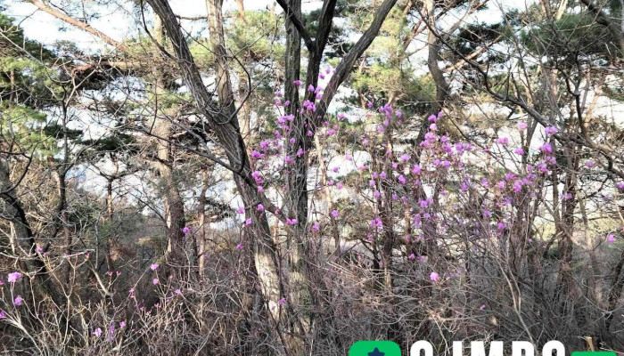 욱수동 - 수성구