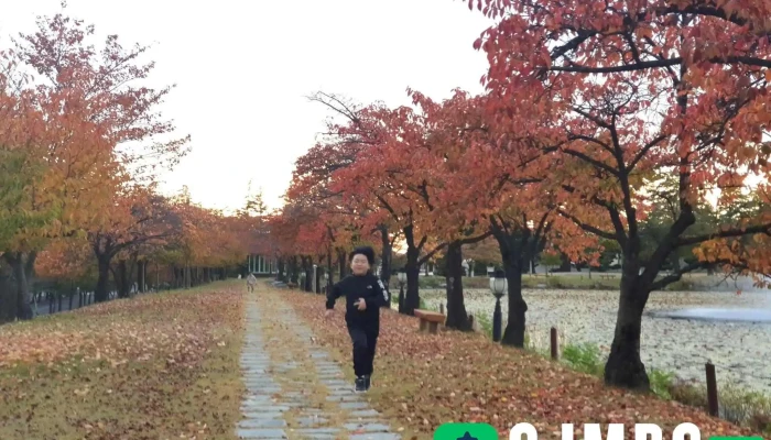 육군3사관학교 - 경상북도 영천시