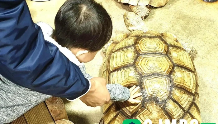 주렁주렁 경주점 - 경상북도 경주시